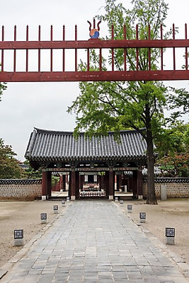 포토 JPG 주간 나무 한국전통 전통문화 여행 고건축 한국건축 출입구 조명 풍경 사람없음 야외 문화재 역사 기와지붕 돌길 전주 홍살문 기와담장 경기전 전주한옥마을 국내포토 자연요소 식물 전통 건축물 건축 문화 길 지붕 한국 기와 담장 전라북도 전통문 한옥마을 파일형식