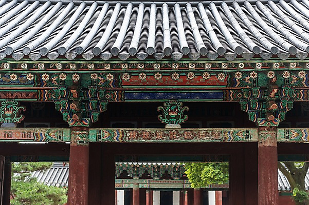 포토 JPG 주간 한국전통 여행 고건축 한국건축 풍경 사람없음 야외 전통문양 문화재 화려 처마 기와지붕 전주 경기전 전주한옥마을 국내포토 자연요소 전통 문양 건축물 건축 컨셉 지붕 한국 기와 전라북도 한옥마을 파일형식 아시아 한옥 마을 전라도 나라