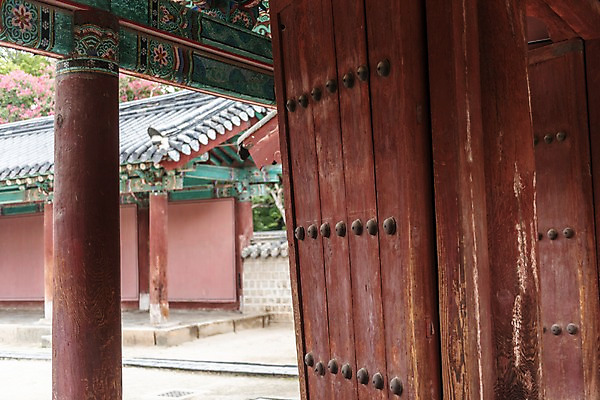 포토 JPG 주간 한국전통 전통문화 여행 한국건축 풍경 사람없음 야외 전통문양 문 문화재 현관문 기와지붕 전주 경기전 전주한옥마을 국내포토 자연요소 전통 문양 건축 문화 지붕 한국 기와 전라북도 한옥마을 파일형식