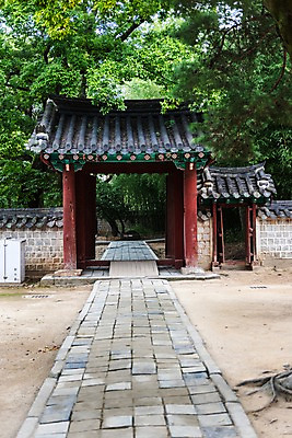 포토 JPG 주간 나무 한국전통 여행 한국건축 풍경 사람없음 야외 문 문화재 역사 현관문 기와지붕 돌길 전주 기와담장 경기전 전주한옥마을 국내포토 자연요소 식물 전통 건축 길 지붕 한국 기와 담장 전라북도 한옥마을 파일형식