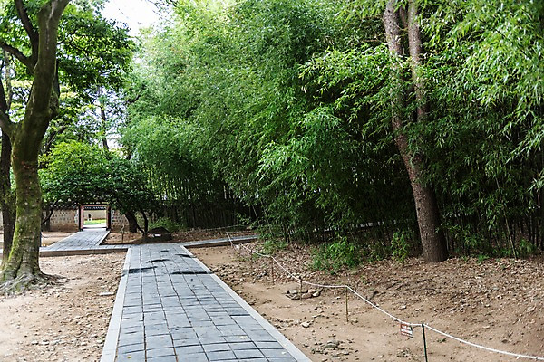 포토 JPG 주간 나무 한국전통 여행 풍경 사람없음 야외 산책로 문화재 전주 경기전 전주한옥마을 국내포토 자연요소 식물 전통 길 한국 전라북도 한옥마을 파일형식