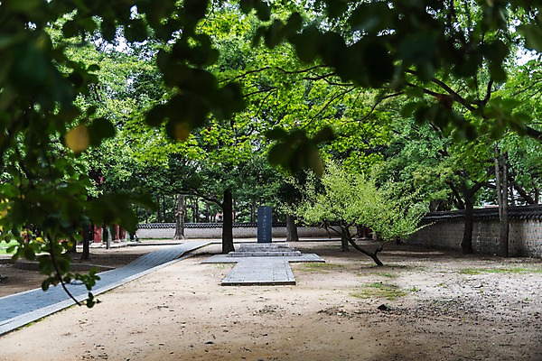 포토 JPG 주간 나무 한국전통 여행 고건축 풍경 사람없음 야외 정원 문화재 역사 비석 전주 기와담장 경기전 전주한옥마을 국내포토 자연요소 식물 전통 건축물 한국 기와 담장 전라북도 한옥마을 파일형식