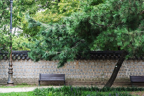 포토 JPG 주간 나무 한국전통 전통문화 여행 고건축 가로등 벤치 한국건축 풍경 사람없음 야외 문화재 전주 기와담장 경기전 전주한옥마을 국내포토 자연요소 식물 전통 건축물 공공시설 건축 문화 의자 한국 기와 담장 전라북도 한옥마을 파일형식