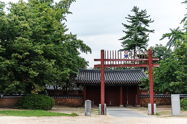 포토 JPG 주간 나무 한국전통 전통문화 여행 고건축 한국건축 풍경 사람없음 야외 문화재 비석 기와지붕 전주 홍살문 기와담장 경기전 전주한옥마을 국내포토 자연요소 식물 전통 건축물 건축 문화 지붕 한국 기와 담장 전라북도 전통문 한옥마을 파일형식