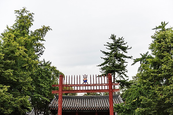 포토 JPG 주간 나무 한국전통 여행 고건축 한국건축 풍경 사람없음 야외 문화재 기와지붕 전주 홍살문 경기전 전주한옥마을 국내포토 자연요소 식물 전통 건축물 건축 지붕 한국 기와 전라북도 전통문 한옥마을 파일형식