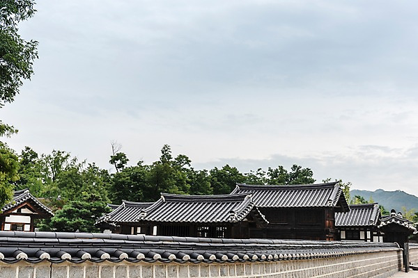 포토 JPG 주간 나무 한국전통 여행 고건축 풍경 사람없음 야외 문화재 역사 기와지붕 국내여행 전주 기와담장 경기전 전주한옥마을 국내포토 자연요소 식물 전통 건축물 지붕 한국 기와 담장 전라북도 한옥마을 파일형식