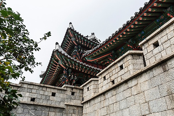 포토 JPG 주간 나무 한국전통 여행 고건축 한국건축 풍경 사람없음 야외 문 문화재 화려 성 처마 기와지붕 보물 성문 국내여행 전주 풍남문 전주한옥마을 국내포토 자연요소 식물 전통 건축물 건축 컨셉 지붕 한국 기와 전라북도 한옥마을 파일형식