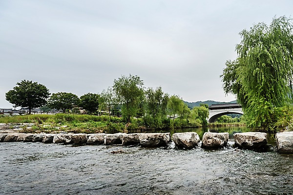 포토 JPG 주간 나무 한국전통 여행 자연 풍경 사람없음 야외 강 풀숲 돌다리 국내여행 전주 징검다리 청연루 가교 전주한옥마을 남천교 국내포토 자연요소 식물 전통 건축물 한국 다리_건축물 숲 전라북도 생태계 한옥마을 파일형식