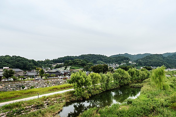 포토 JPG 주간 나무 한국전통 여행 자연 산 기와집 풍경 사람없음 야외 강 숲 기와지붕 국내여행 전주 전주한옥마을 국내포토 자연요소 식물 전통 지붕 한옥 한국 기와 전라북도 생태계 한옥마을 파일형식