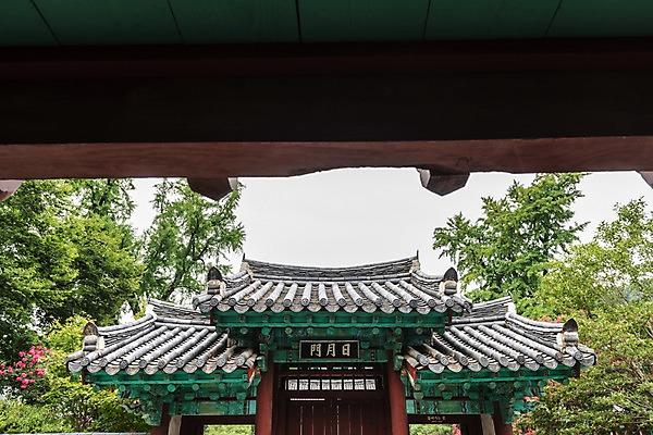 포토 JPG 주간 나무 한국전통 전통문화 여행 고건축 출입구 풍경 사람없음 야외 문화재 기와지붕 국내여행 전주 향교 현판 전주한옥마을 전주향교 국내포토 자연요소 식물 전통 건축물 문화 유적지 지붕 한국 기와 전라북도 한옥마을 교육기관 파일형식