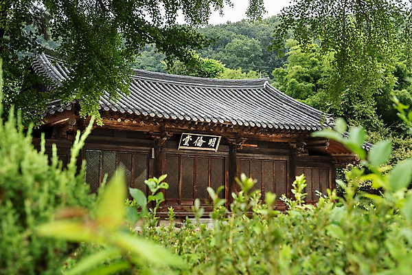 포토 JPG 주간 한국전통 여행 고건축 기와집 풍경 사람없음 야외 문화재 나뭇가지 풀잎 기와지붕 국내여행 전주 향교 현판 전주한옥마을 전주향교 국내포토 자연요소 나무 전통 건축물 잎 유적지 지붕 한옥 한국 기와 풀_식물 전라북도 한옥마을 교육기관 파일형식