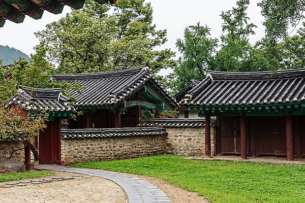 포토 JPG 주간 나무 한국전통 여행 고건축 풍경 사람없음 야외 정원 산책로 문화재 기와지붕 국내여행 전주 향교 전주한옥마을 전주향교 국내포토 자연요소 식물 전통 건축물 길 유적지 지붕 한국 기와 전라북도 한옥마을 교육기관 파일형식