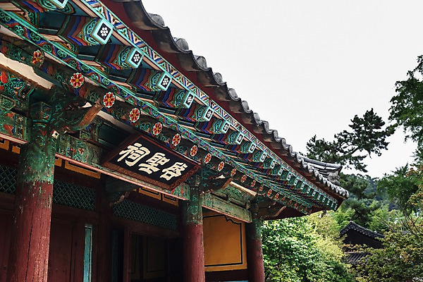 포토 JPG 주간 나무 한국전통 여행 고건축 풍경 사람없음 야외 전통문양 문화재 나뭇가지 처마 기와지붕 국내여행 전주 향교 현판 전주한옥마을 전주향교 국내포토 자연요소 식물 전통 문양 건축물 유적지 지붕 한국 기와 전라북도 한옥마을 교육기관 파일형식