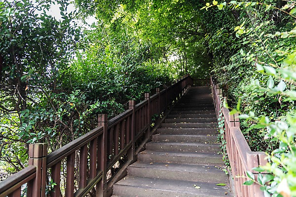 포토 JPG 주간 나무 한국전통 여행 풍경 사람없음 야외 계단 산책로 나뭇가지 국내여행 전주 전주한옥마을 둘레길 국내포토 자연요소 식물 전통 길 한국 전라북도 한옥마을 파일형식