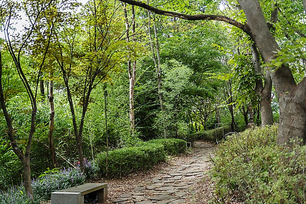 포토 JPG 주간 나무 한국전통 여행 벤치 풍경 사람없음 야외 산책로 국내여행 전주 전주한옥마을 둘레길 국내포토 자연요소 식물 전통 길 의자 한국 전라북도 한옥마을 파일형식