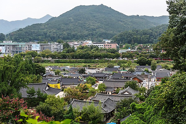 포토 JPG 주간 나무 한국전통 여행 고건축 산 기와집 풍경 사람없음 야외 건물 도시풍경 기와지붕 국내여행 전주 전주한옥마을 국내포토 자연요소 식물 전통 건축물 지붕 한옥 한국 기와 도시 전라북도 한옥마을 파일형식