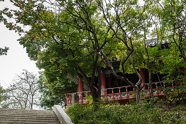 포토 JPG 주간 나무 한국전통 전통문화 여행 고건축 풍경 사람없음 야외 계단 문화재 나뭇가지 국내여행 전주 전주한옥마을 오목대 국내포토 자연요소 식물 전통 건축물 문화 유적지 한국 전라북도 한옥마을 파일형식