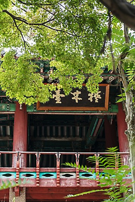 포토 JPG 주간 한국전통 여행 고건축 풍경 사람없음 야외 문화재 나뭇가지 국내여행 전주 현판 전주한옥마을 오목대 국내포토 자연요소 나무 전통 건축물 유적지 한국 전라북도 한옥마을 파일형식