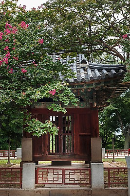 포토 JPG 주간 한국전통 전통문화 여행 고건축 풍경 사람없음 야외 문화재 기와지붕 국내여행 배롱나무 전주 전주한옥마을 오목대 국내포토 자연요소 나무 전통 건축물 문화 유적지 지붕 한국 기와 전라북도 한옥마을 파일형식