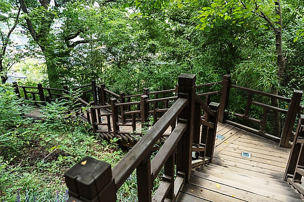 포토 JPG 주간 나무 한국전통 여행 난간 풍경 사람없음 야외 계단 산책로 국내여행 나무계단 전주 전주한옥마을 둘레길 국내포토 자연요소 식물 전통 길 한국 전라북도 한옥마을 파일형식