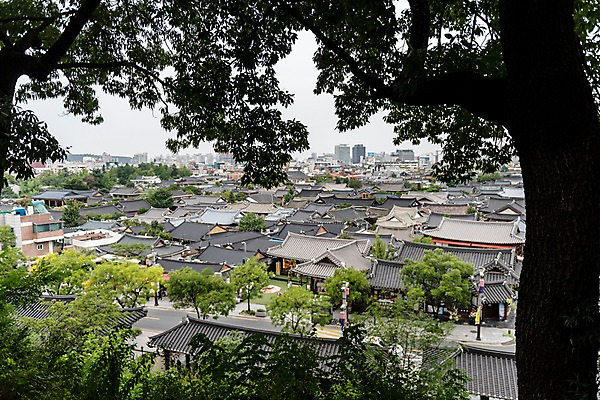 포토 JPG 주간 나무 한국전통 여행 고건축 거리 기와집 풍경 사람없음 야외 도시풍경 기와지붕 국내여행 전주 전주한옥마을 국내포토 자연요소 식물 전통 건축물 지붕 한옥 한국 기와 도시 전라북도 한옥마을 파일형식