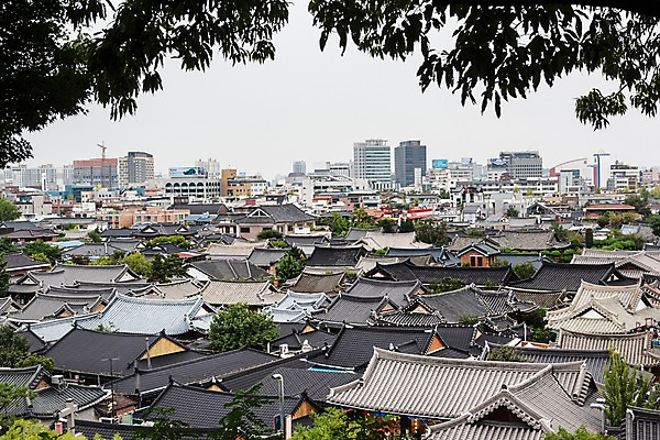 포토 JPG 주간 한국전통 여행 고건축 기와집 풍경 사람없음 야외 도시풍경 나뭇가지 기와지붕 국내여행 전주 전주한옥마을 국내포토 자연요소 나무 전통 건축물 지붕 한옥 한국 기와 도시 전라북도 한옥마을 파일형식