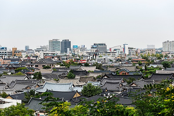 포토 JPG 주간 나무 한국전통 여행 고건축 기와집 풍경 사람없음 야외 도시풍경 기와지붕 국내여행 전주 전주한옥마을 국내포토 자연요소 식물 전통 건축물 지붕 한옥 한국 기와 도시 전라북도 한옥마을 파일형식