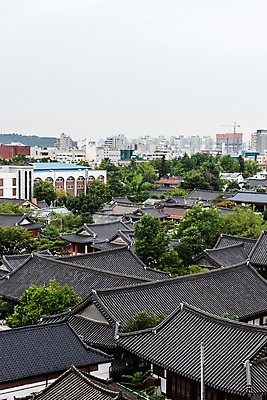포토 JPG 주간 나무 한국전통 여행 고건축 기와집 풍경 사람없음 야외 도시풍경 기와지붕 국내여행 전주 전주한옥마을 국내포토 자연요소 식물 전통 건축물 지붕 한옥 한국 기와 도시 전라북도 한옥마을 파일형식
