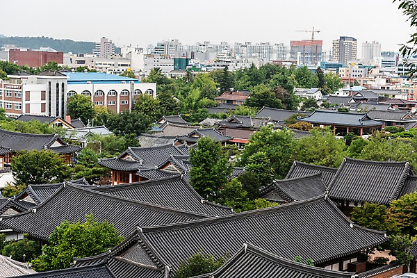 포토 JPG 주간 나무 한국전통 여행 고건축 기와집 풍경 사람없음 야외 도시풍경 기와지붕 국내여행 전주 전주한옥마을 국내포토 자연요소 식물 전통 건축물 지붕 한옥 한국 기와 도시 전라북도 한옥마을 파일형식