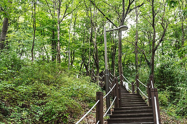 포토 JPG 주간 나무 한국전통 여행 가로등 풍경 사람없음 야외 계단 숲 국내여행 나무계단 전주 전주한옥마을 둘레길 국내포토 자연요소 식물 전통 공공시설 길 한국 전라북도 한옥마을 파일형식