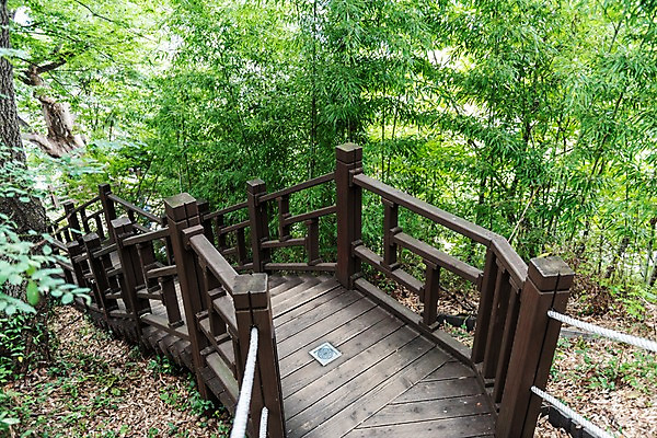 포토 JPG 주간 나무 한국전통 여행 풍경 사람없음 야외 계단 산책로 숲 국내여행 전주 전주한옥마을 둘레길 국내포토 자연요소 식물 전통 길 한국 전라북도 한옥마을 파일형식