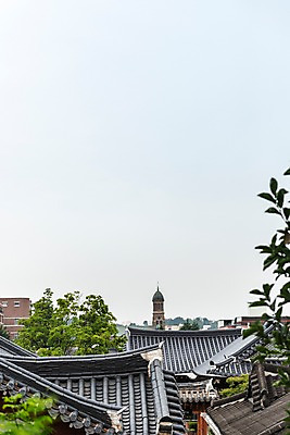 포토 JPG 주간 한국전통 여행 고건축 기와집 풍경 사람없음 야외 성당 나뭇가지 기와지붕 국내여행 전주 전주한옥마을 국내포토 자연요소 나무 전통 건축물 종교건축 지붕 한옥 한국 기와 전라북도 한옥마을 파일형식 식물 건축 아시아 마을 전라도 나라