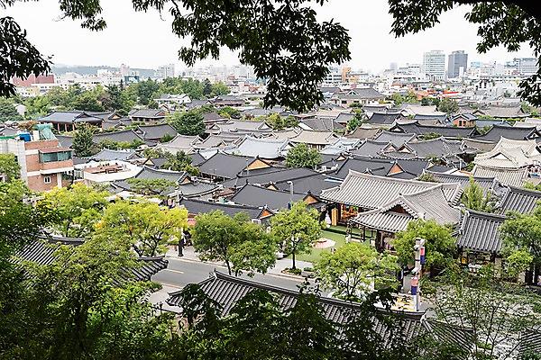 포토 JPG 주간 나무 한국전통 여행 풍경 사람없음 야외 도시풍경 가을 기와지붕 국내여행 전주 전주한옥마을 국내포토 자연요소 식물 전통 계절 지붕 한국 기와 도시 전라북도 한옥마을 파일형식