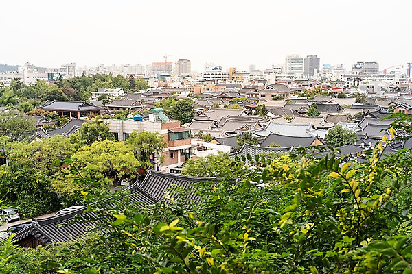 포토 JPG 주간 나무 한국전통 여행 풍경 사람없음 야외 도시풍경 가을 기와지붕 국내여행 전주 전주한옥마을 국내포토 자연요소 식물 전통 계절 지붕 한국 기와 도시 전라북도 한옥마을 파일형식