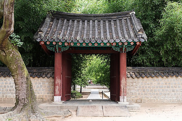 포토 JPG 주간 나무 한국전통 여행 출입구 풍경 사람없음 야외 문화재 가을 대나무 나무기둥 기와지붕 국내여행 전주 기와담장 경기전 전주한옥마을 국내포토 자연요소 식물 전통 계절 지붕 한국 기와 담장 전라북도 한옥마을 파일형식