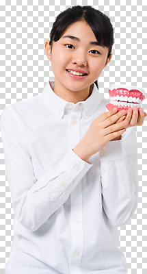 편집이미지 응시 여자 청소년 한명 미소 들기 사람 상반신 앞모습 10대 한국인 치아모형 PNG 십대여자한명만 편집소스 1 시선 뷰포인트 모션 표정 동양인 치아 여자한명만 십대여자만 파일형식