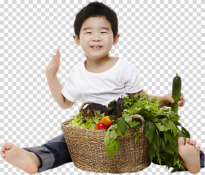 전신 편집이미지 응시 남자 어린이 채소 오이 파프리카 한명 미소 사람 앉기 앞모습 손들기 바구니 한국인 잡기 PNG 소년한명만 편집소스 1 시선 뷰포인트 모션 표정 동양인 남자한명만 소년만 파일형식