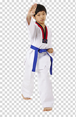 전신 편집이미지 응시 남자 어린이 스포츠 포즈 한명 서기 사람 앞모습 한국인 태권도 태권도복 PNG 소년한명만 편집소스 1 시선 뷰포인트 모션 도복 동양인 격투기 남자한명만 소년만 파일형식