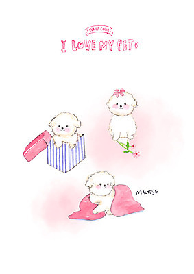 PSD 꽃 반려견 일러스트 수채화 세마리 사랑 사람없음 선물상자 반려동물 말티즈 담요 반려 국내일러스트 식물 동물 감정 3 선물 상자 개 파일형식