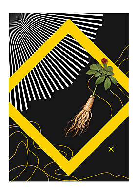 편집이미지 디지털백그라운드 선물 사람없음 설날 노란색 추석 디지털 검은색 인삼 마름모 방사선무늬 인삼꽃 추석선물 설선물 이미지편집 AI파일 도형 명절 꽃 컬러 백그라운드 삼 파일형식 벡터 명절선물