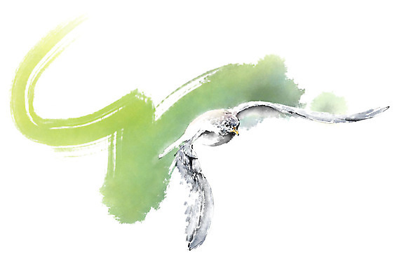 PSD 한마리 날개 일러스트 캘리그라피 조류 붓터치 사람없음 초록색 비행 번짐 매_조류 국내일러스트 동물 1 컬러 파일형식 효과