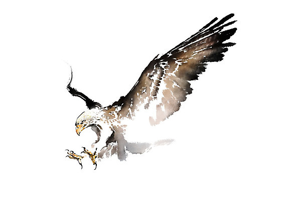 PSD 한마리 날개 일러스트 캘리그라피 조류 붓터치 사람없음 비행 번짐 매_조류 국내일러스트 동물 1 파일형식 효과