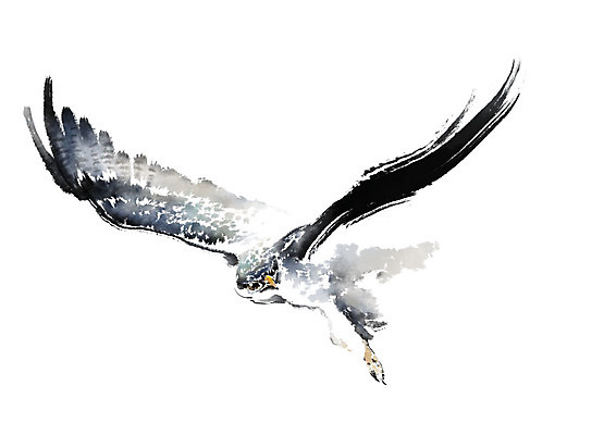 PSD 한마리 날개 일러스트 캘리그라피 조류 붓터치 사람없음 비행 번짐 매_조류 국내일러스트 동물 1 파일형식 효과