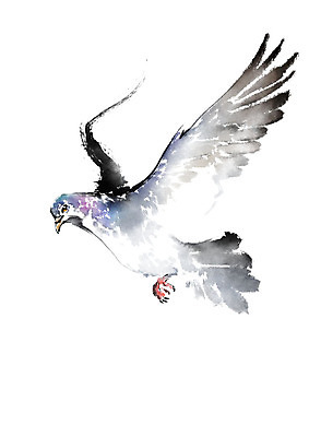 PSD 한마리 날개 일러스트 캘리그라피 조류 붓터치 사람없음 비행 비둘기 번짐 국내일러스트 동물 1 파일형식 효과