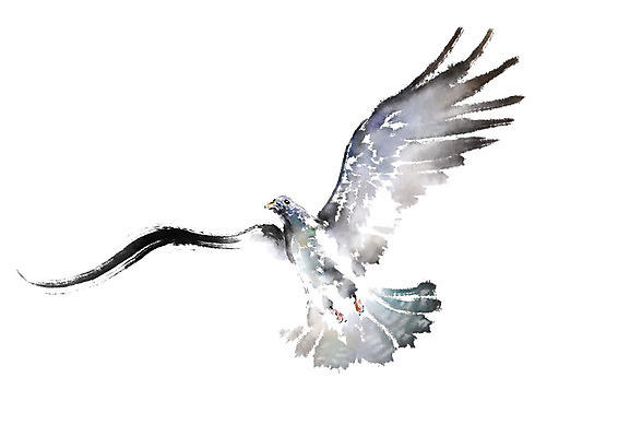 PSD 한마리 날개 일러스트 캘리그라피 조류 붓터치 사람없음 비행 비둘기 번짐 국내일러스트 동물 1 파일형식 효과