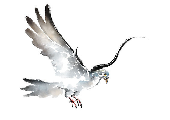 PSD 한마리 날개 일러스트 캘리그라피 조류 붓터치 사람없음 비행 비둘기 번짐 국내일러스트 동물 1 파일형식 효과