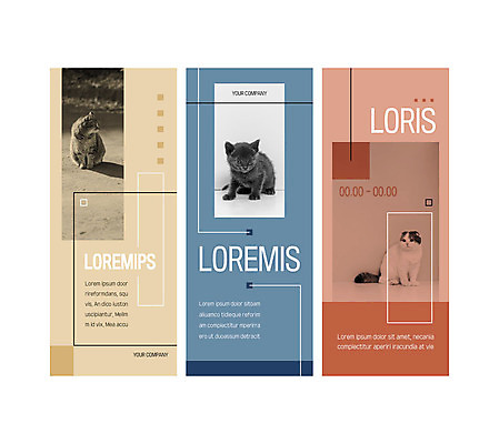 템플릿 배너 응시 배너템플릿 세로배너 선 거리 사각프레임 세마리 사람없음 반려동물 사각형 고양이 현수막 반려 배너세트 엑스배너 AI파일 도형 동물 시선 포유류 프레임 3 세로 세트 파일형식 벡터