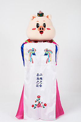 포토 JPG 스튜디오촬영 전신 여자 신부 포즈 결혼 실내 한명 서기 사람 20대 성인 앞모습 한국인 예절 인사 돼지띠 돼지 절 한복 전통혼례 흰배경 돼지캐릭터 혼례복 동물탈 인형탈 성인여자한명만 기해년 국내포토 1 한국전통 뷰포인트 동물캐릭터 백그라운드 포유류 모션 동양인 이벤트 청년 내부 흰색 십이지신 전통의상 전통의례 탈 여자한명만 성인여자만 파일형식 2019년