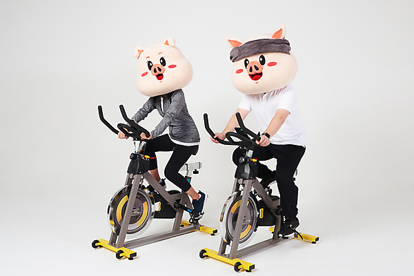 포토 JPG 스튜디오촬영 전신 커플 다이어트 새해 실내 20대 옆모습 친구 수건 운동 건강관리 돼지띠 돼지 결심 흰배경 돼지캐릭터 유산소운동 동물탈 인형탈 성인만 스피닝 기해년 국내포토 뷰포인트 동물캐릭터 백그라운드 컨셉 포유류 관계 건강 관리 청년 내부 위생용품 운동기구 흰색 십이지신 탈 파일형식 2019년