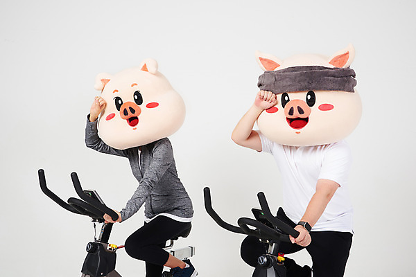 포토 JPG 스튜디오촬영 커플 다이어트 새해 실내 상반신 20대 옆모습 친구 수건 운동 건강관리 돼지띠 돼지 결심 흰배경 땀 돼지캐릭터 닦기 유산소운동 동물탈 인형탈 힘듦 성인만 스피닝 기해년 국내포토 뷰포인트 동물캐릭터 백그라운드 컨셉 포유류 관계 모션 건강 관리 청년 내부 위생용품 운동기구 흰색 십이지신 탈 파일형식 2019년